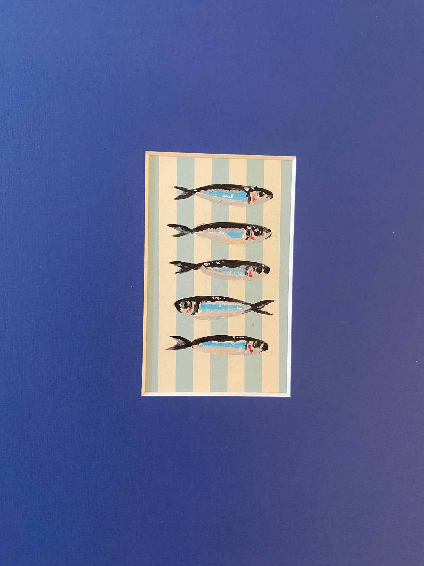 Kleine Visjes kleur