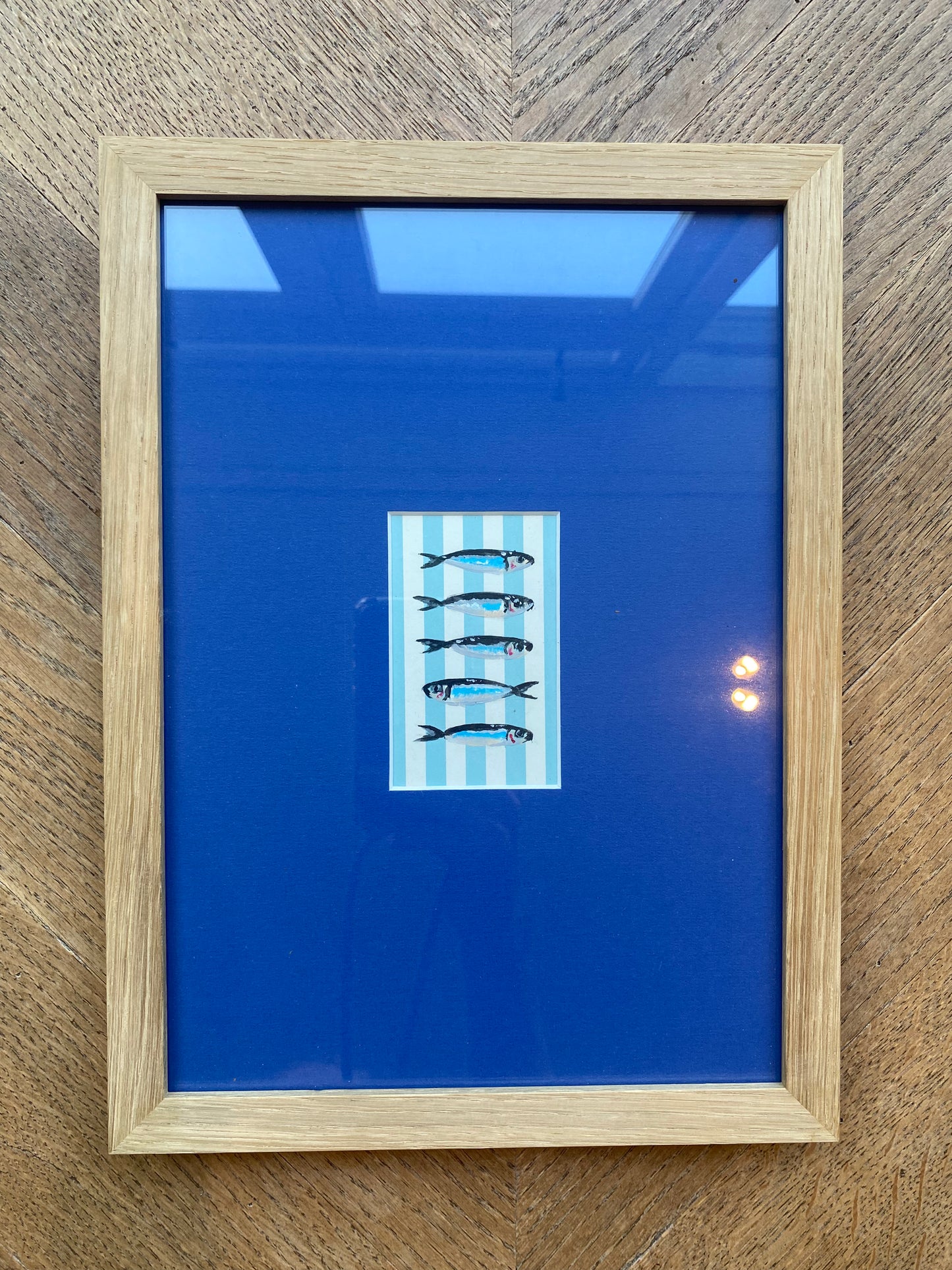 Kleine Visjes kleur