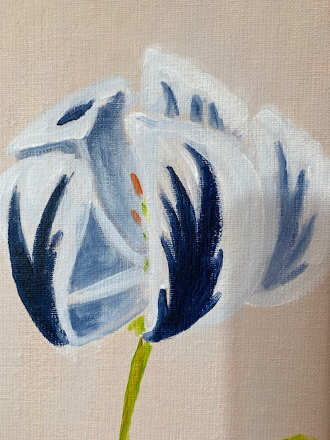 3 tulpen