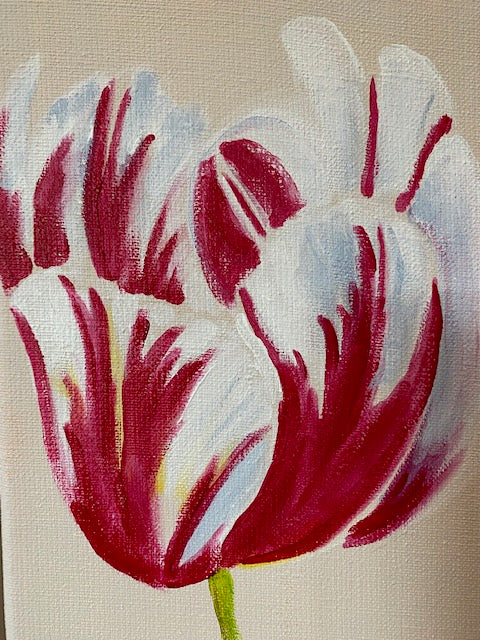 3 tulpen
