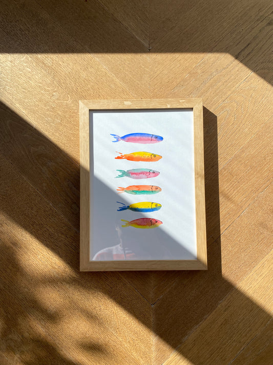 Regenboog visjes