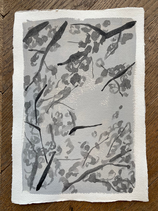 Bloesem op papier