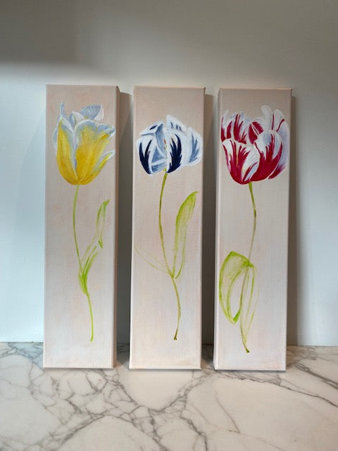 3 tulpen